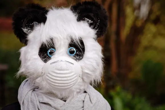 Thunderbolt Kasino Sokongan